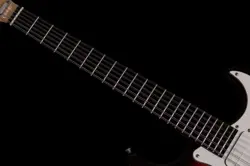 ST-XIIE BODY SCHECTER