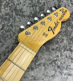 FENDER WINTER REPLACEMENT