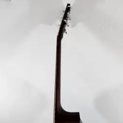 F-210 ACOUSTIC GUITAR