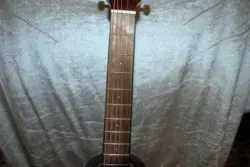 GUITAR BROWN 0971170121