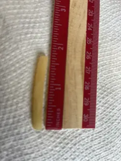 CURVED SLOTTED BONE NUT FOR FENDER STRATOCASTER #2