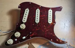 W/PICKGUARD POTS