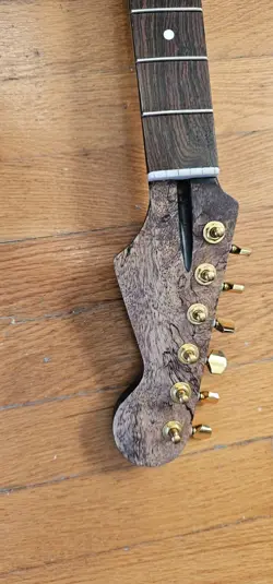 EXOTIC WOOD STRATOCASTER