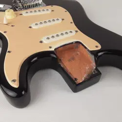 BODY WORKING ELECTRONICS