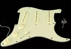 PICKGUARD +EXTRAS