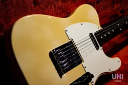 FENDER STANDARD TELECASTER / 1983 (1983)