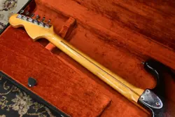 SUNBURST MAPLE ALDER