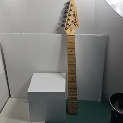 NICE FENDER STARCASTER