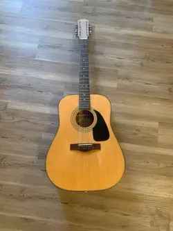 12-STRING ACOUSTIC FENDER
