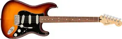 FENDER PLAYER STRATOCASTER PLUS TOP PAU FERRO TOBACCO BURST