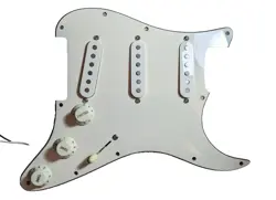 PICKGUARD W/ROBERT