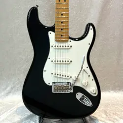 FENDER MEXICO PLAYER STRATOCASTER USED 2019 ALDER BODY MAPLE NECK W/SOFT CASE