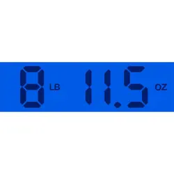 ANN. AMERICAN VINTAGE