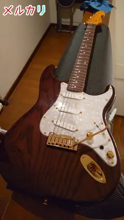 MOD FENDER JAPAN ST62 ORDER BODY STAINLESS STEEL FRETS