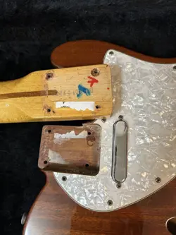 VINTAGE '69 THINLINE