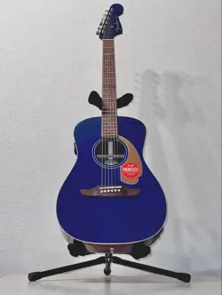 FSR ACOUSTIC GUITAR