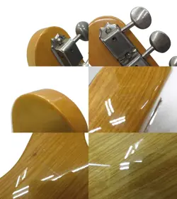 TL TELECASTER KAGOSHIMA