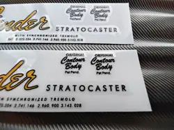 2PCS FENDER STRATCASTER