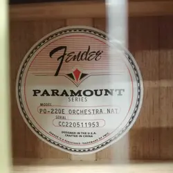 PO-220E ACOUSTIC GUITAR