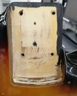 SUNBURST 1995-1996 ELECTRIC