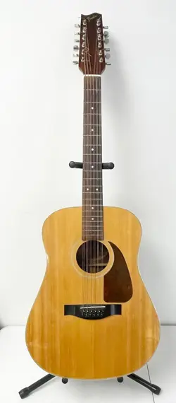 DREADNAUGHT GUITAR W/