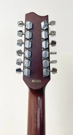 ACOUSTIC DREADNAUGHT