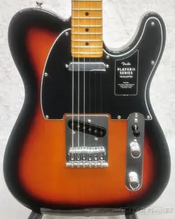 SUNBURST MAPLE- MX24033417