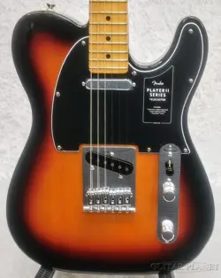 SUNBURST MAPLE- MX24038743