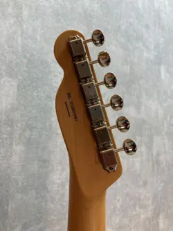 TELECASTER 2020 SAFE