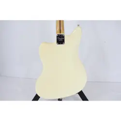 PROFESSIONAL JAGUAR USED