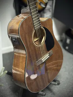 FISHMAN ELECTRIFICATION. INCLUDES