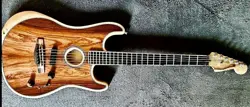2021 EXOTIC COCOBOLO