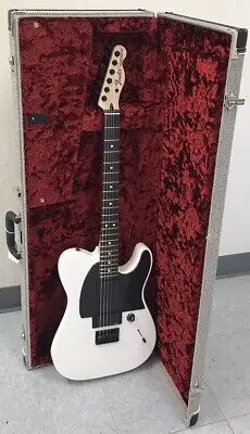 FENDER TELECASTER JIM ROOT (SH3026448)