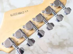 STANDARD BLACK ELECTRIC