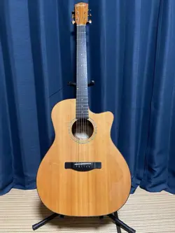 FENDER ESA-10CE