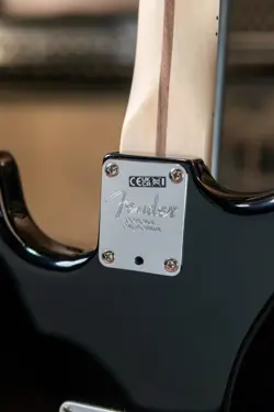 FINGERBOARD BLACK WITH