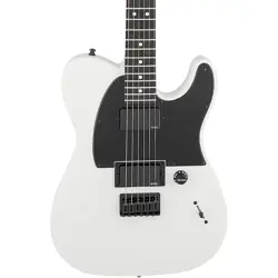 FENDER JIM ROOT ARTIST SERIES TELECASTER ELECTRIC GUITAR WHITE
