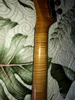 NECK FENDER LICENSED