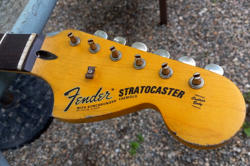 GENUINE FENDER LIC