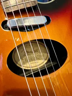 TELECOUSTIC DLX ELECTRIC