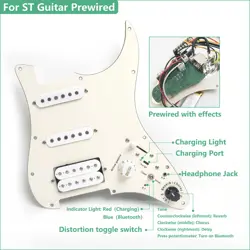 PREWIRED GUITAR