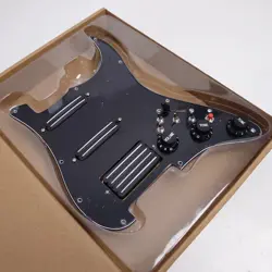 PICKGUARD SET COIL