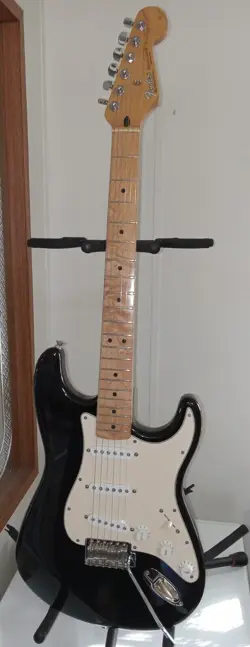 SKUNK STRIPE GUITAR