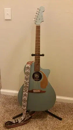 SERIES NEWPORTER ACOUSTIC-ELECTRIC