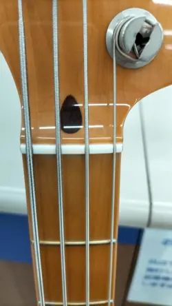 HEAD SIGNATURE MODEL