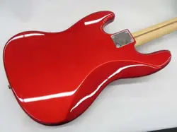 BASS 2013 MODEL
