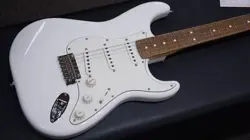 FENDER PLAYER STRATOCASTER PAU FERRO   / POLAR WHITE