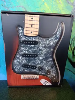 NOISLESS LOADED PICK