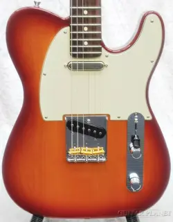 -SIENNA /-JD24017786