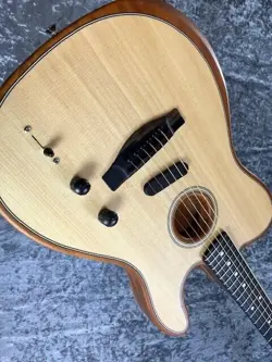 REPLACEMENT CAMPAIGN] AMERICAN